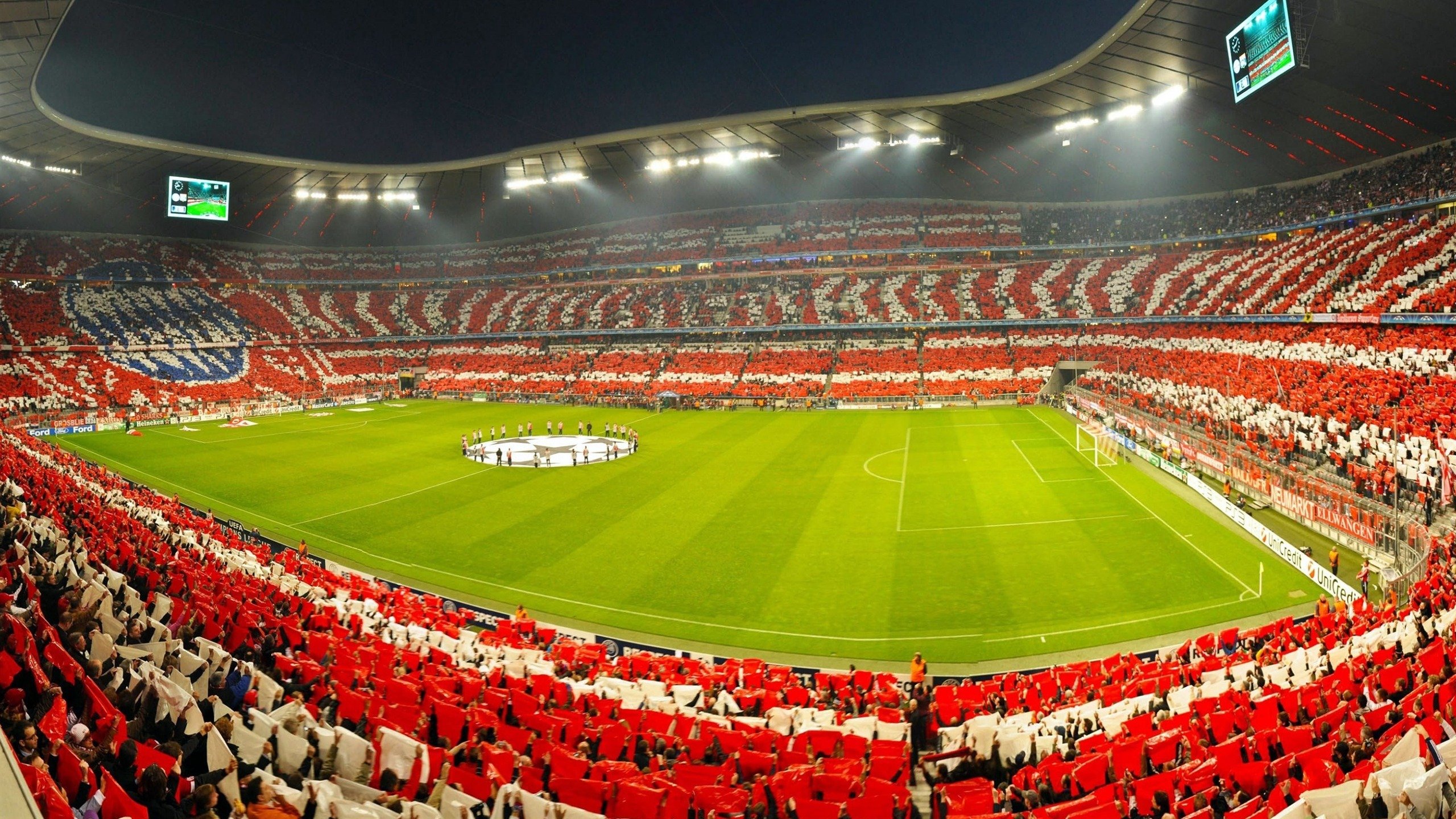 “诺克·达维德·彼得森与南非羚羊队携手迎接挑战”